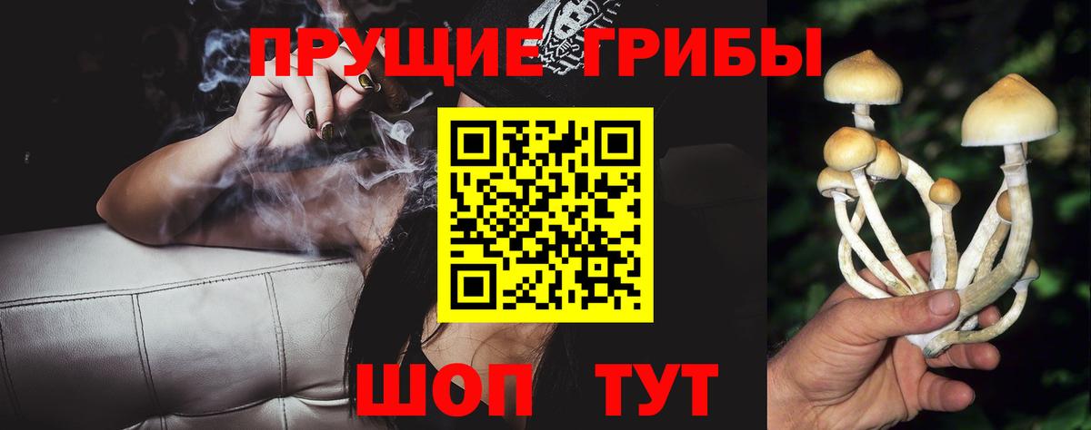 Карпинск  что такое наркотик  Вход с VPN  Псилоцибиновые грибы мицелий 